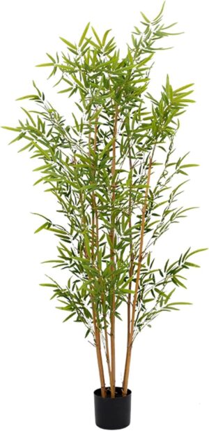 Green Bamboo